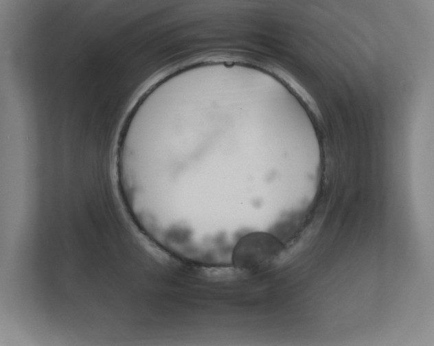 X0000111850853200907231058