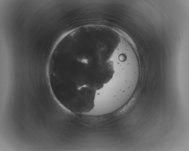 X0000111850855200907231058