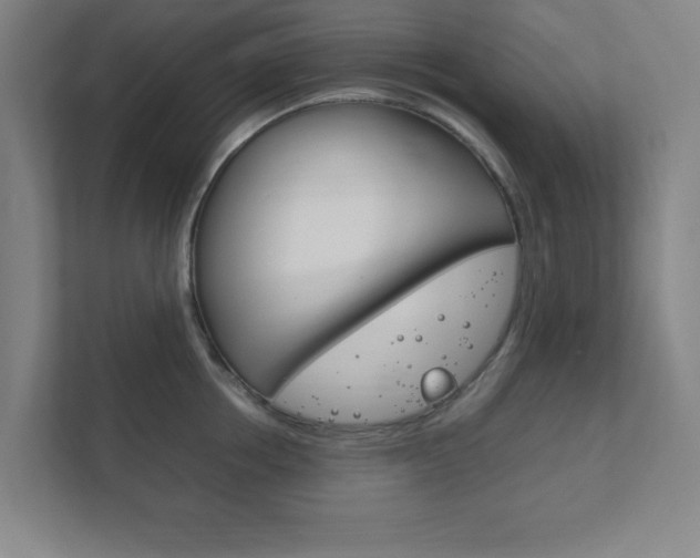 X0000111850858200907231058