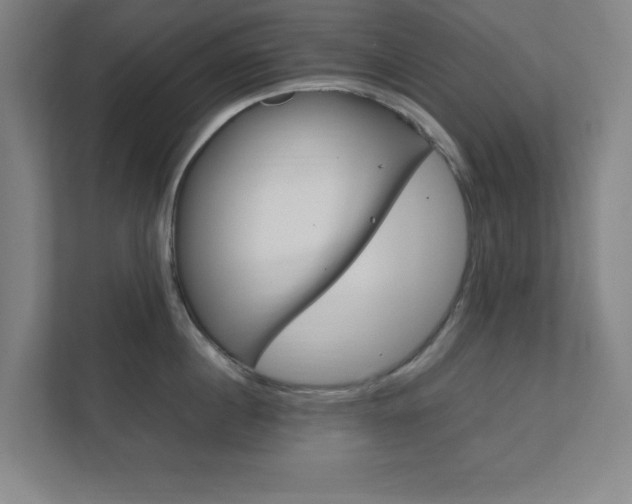 X0000111850860200907231058