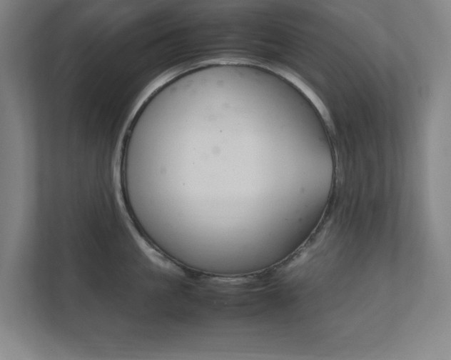 X0000111850861200907231058