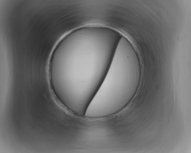 X0000111850864200907231058