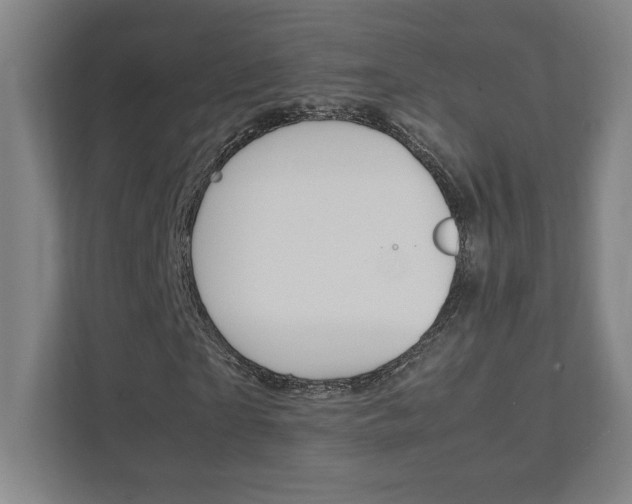 X0000111850865200907231057
