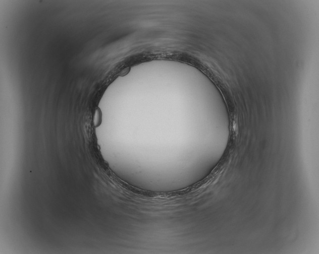 X0000111850867200907231057
