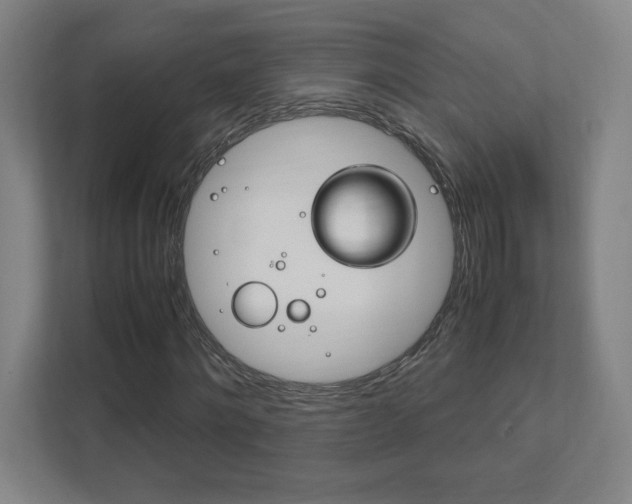X0000111850868200907231057