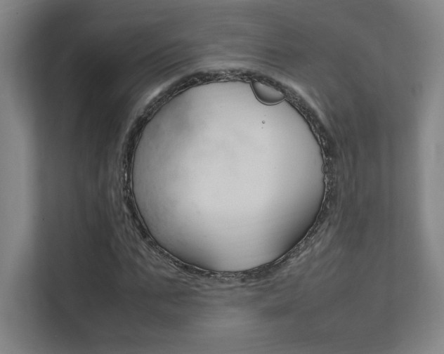 X0000111850871200907231057