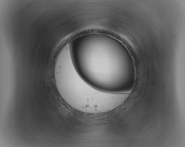 X0000111850872200907231057