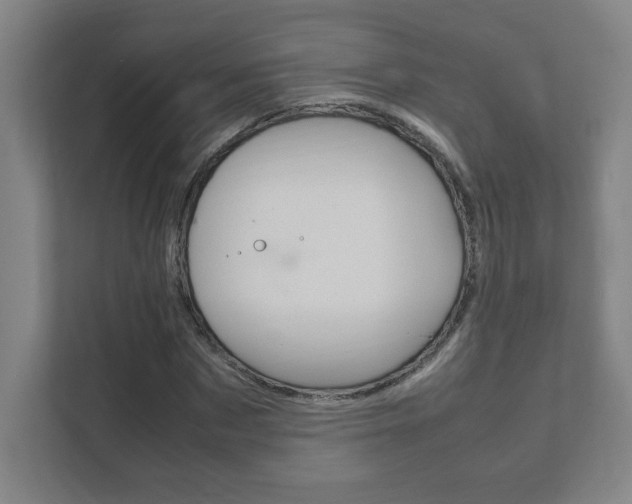 X0000111850873200907231057