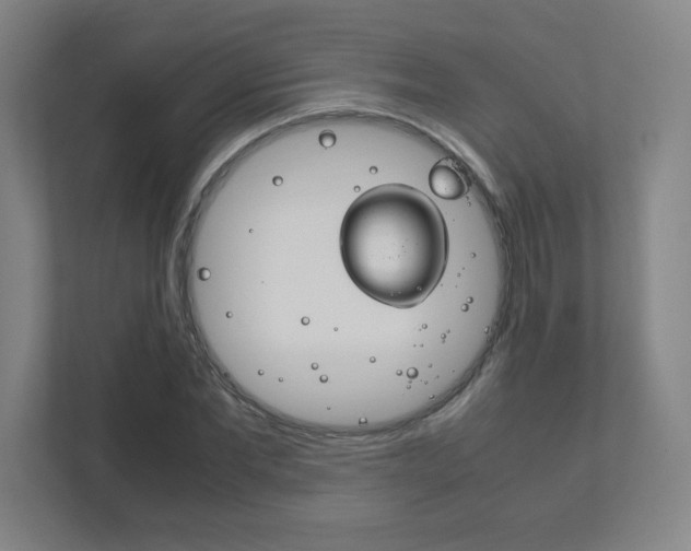 X0000111850877200907231057