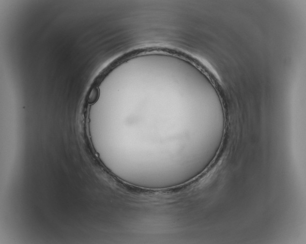 X0000111850879200907231057