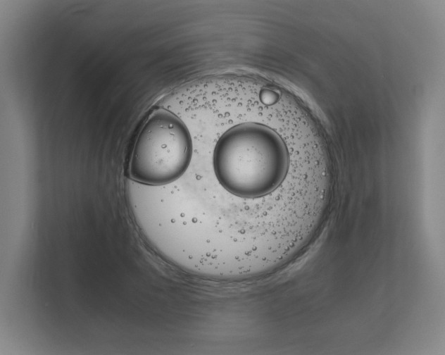 X0000111850881200907231057