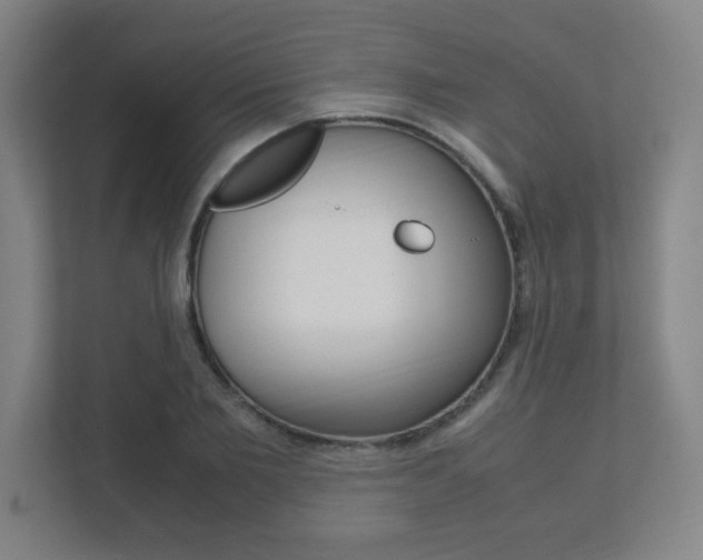 X0000111850885200907231057