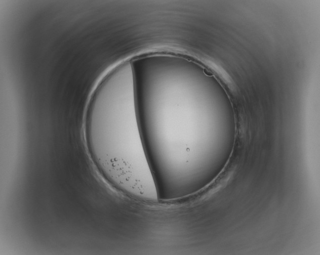 X0000111850888200907231057