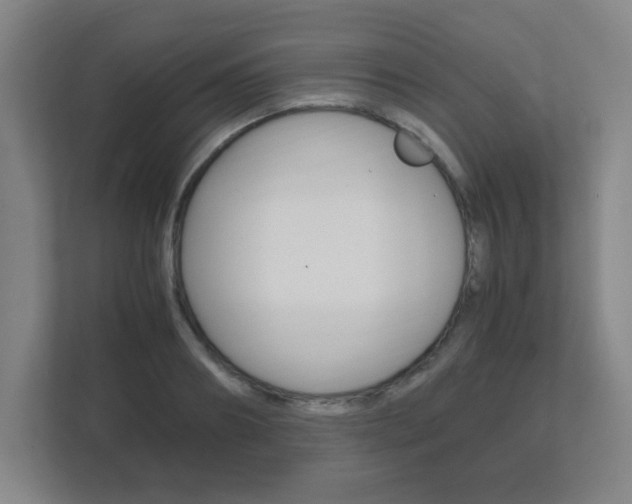 X0000111850890200907231057