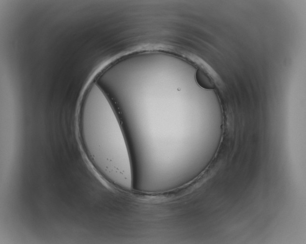 X0000111850894200907231057