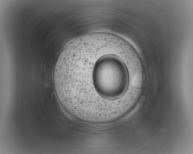 X0000111850897200907231057