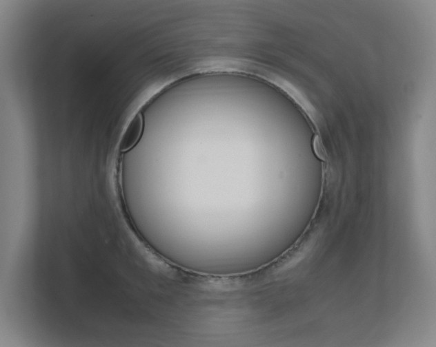 X0000111850901200907231057
