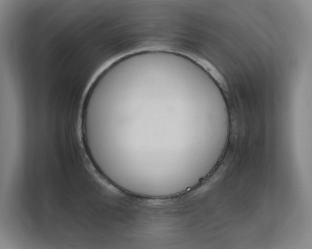 X0000111850904200907231057