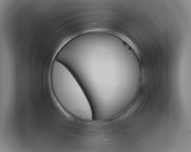 X0000111850906200907231057