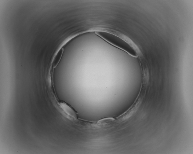 X0000111850908200907231057