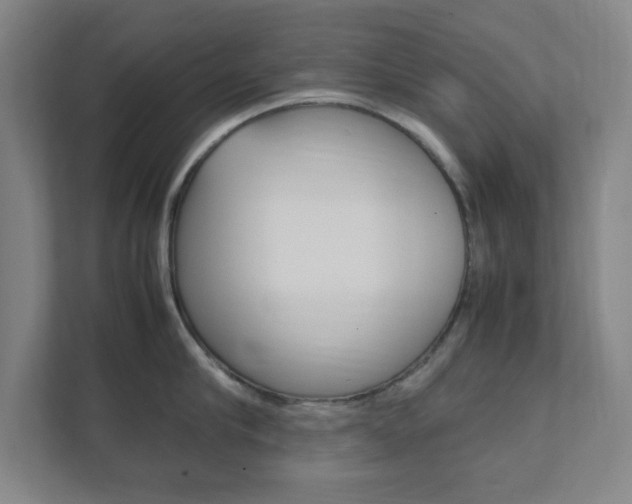 X0000111850910200907231057