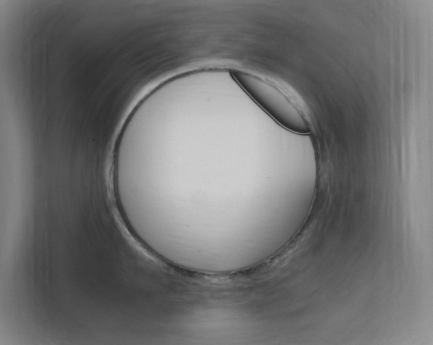 X0000111850911200907231057