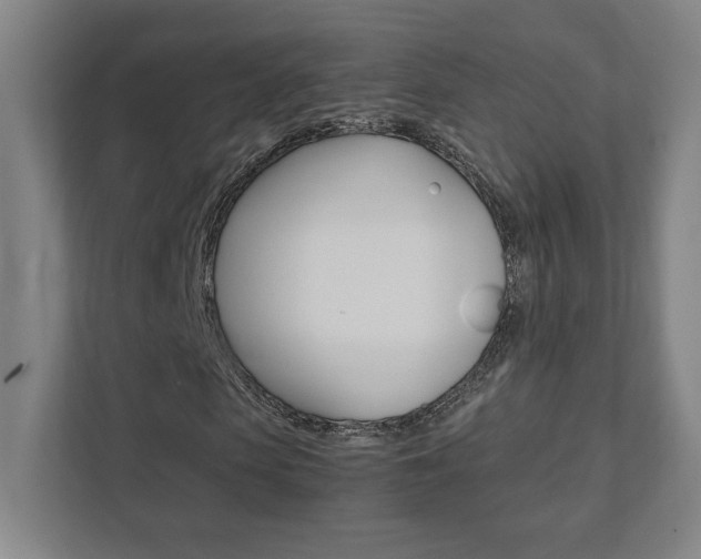 X0000111850913200907231056