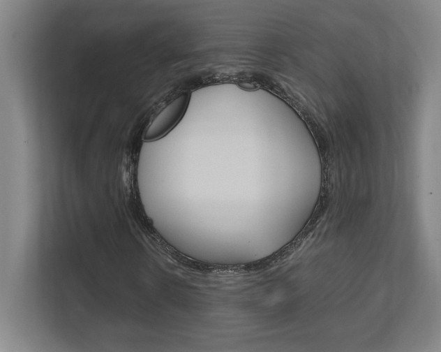 X0000111850914200907231056