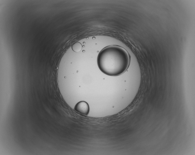 X0000111850916200907231056