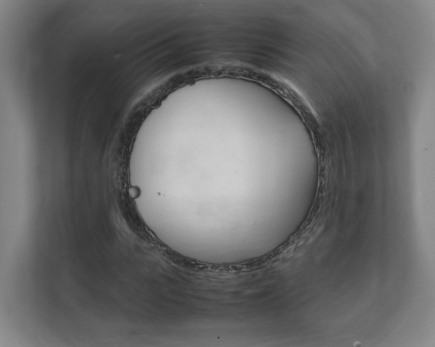 X0000111850919200907231056