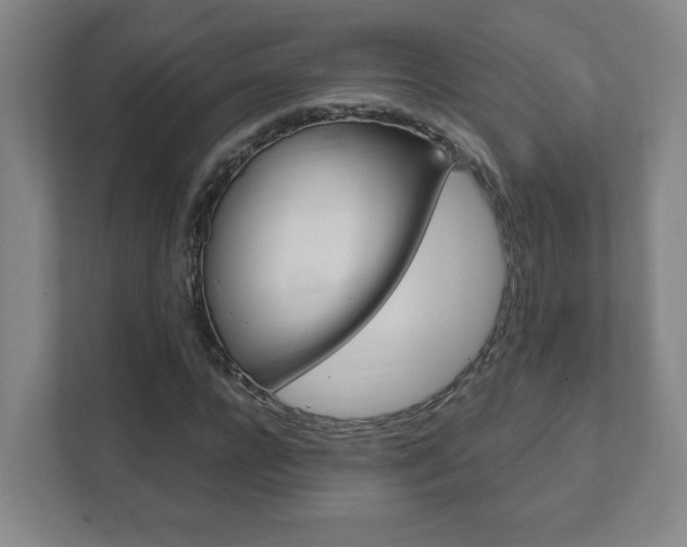 X0000111850920200907231056