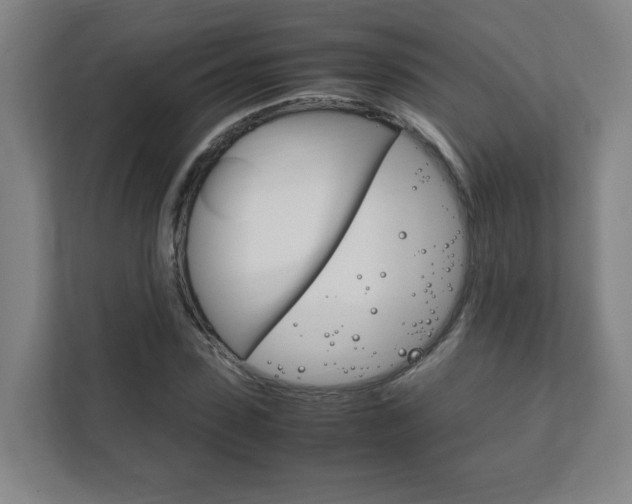 X0000111850923200907231056