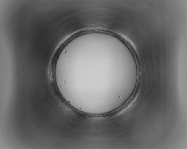 X0000111850925200907231056
