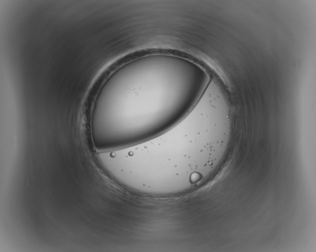 X0000111850926200907231056
