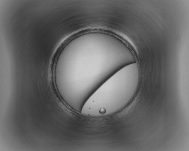 X0000111850927200907231056
