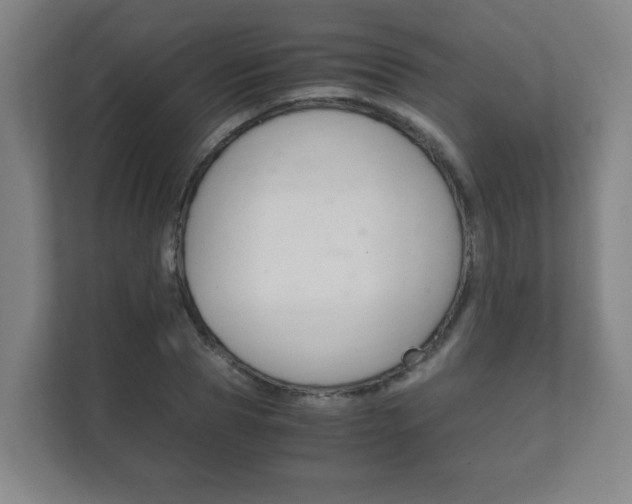 X0000111850929200907231056