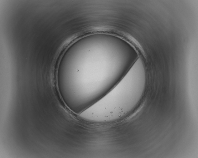 X0000111850930200907231056