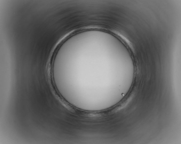 X0000111850933200907231056