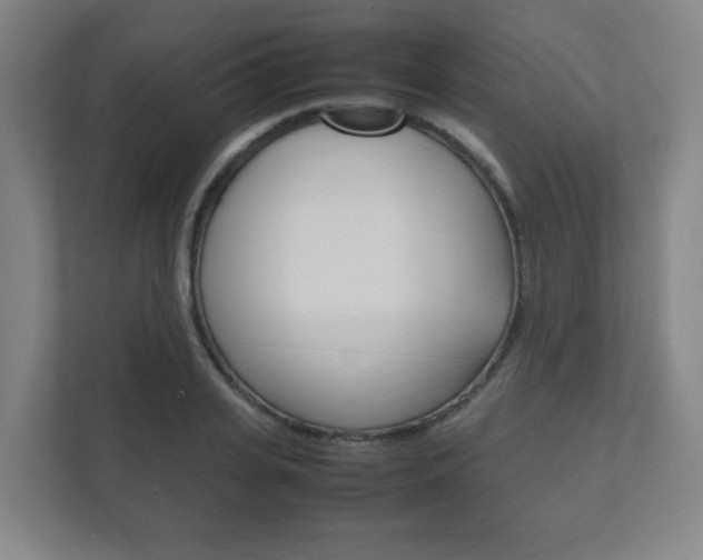 X0000111850935200907231056