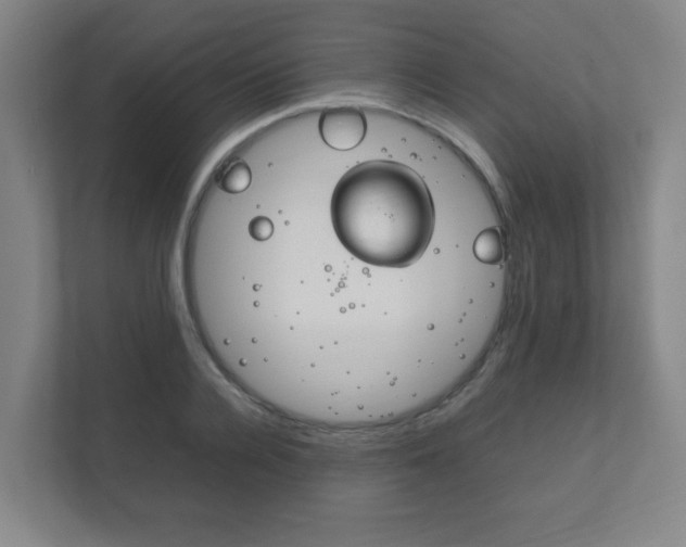 X0000111850936200907231056