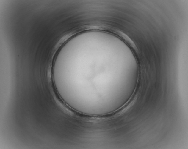 X0000111850938200907231056