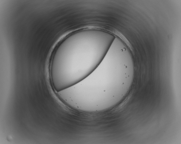 X0000111850939200907231056