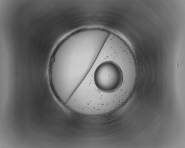 X0000111850943200907231056