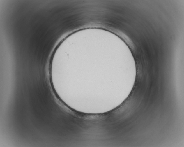 X0000111850950200907231057