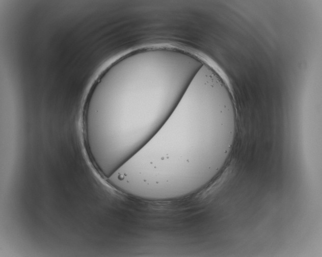 X0000111850951200907231057