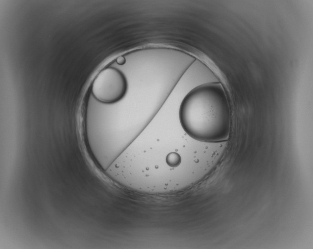 X0000111850955200907231057
