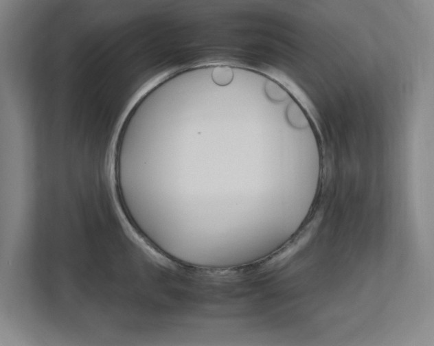 X0000111850957200907231057