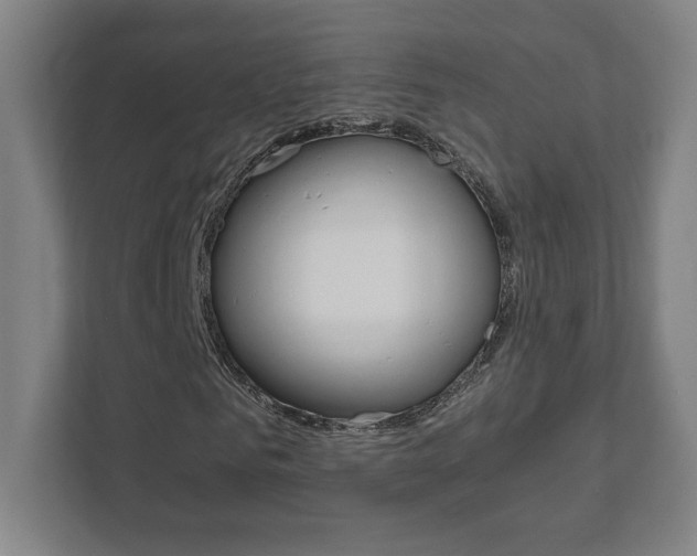 X0000111850961200907231056
