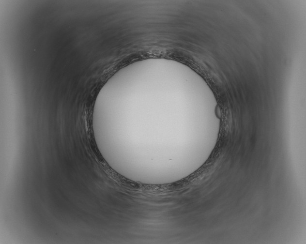 X0000111850962200907231056