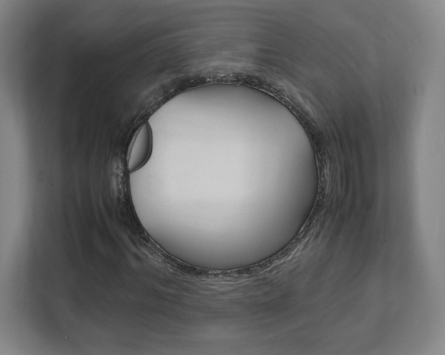 X0000111850964200907231056